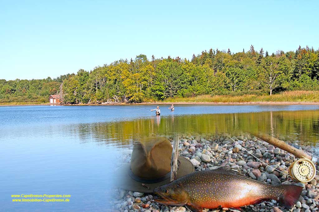 Overview listings real estate for sale Cape Breton Nova Scotia