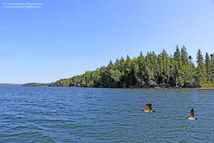 On the Bras d’Or Lake on Cape Breton Island