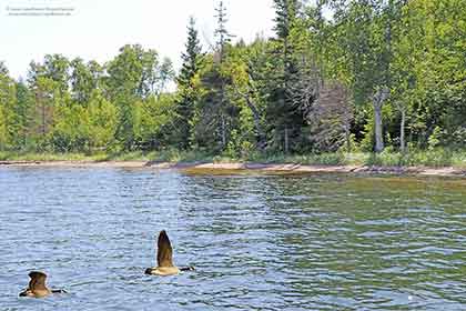 On the Bras d’Or Lake on Cape Breton Island