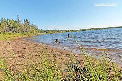 Real Estate on Cape Breton Island