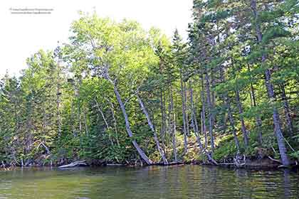 On the Bras d’Or Lake on Cape Breton Island