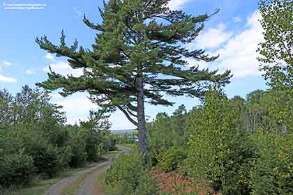 On the Bras d’Or Lake on Cape Breton Island