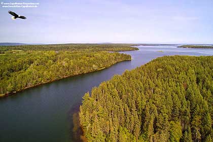 Real Estate on Cape Breton Island