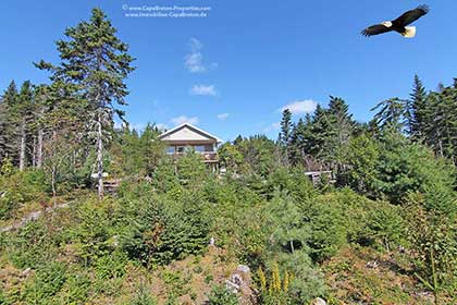 Real Estate on Cape Breton Island