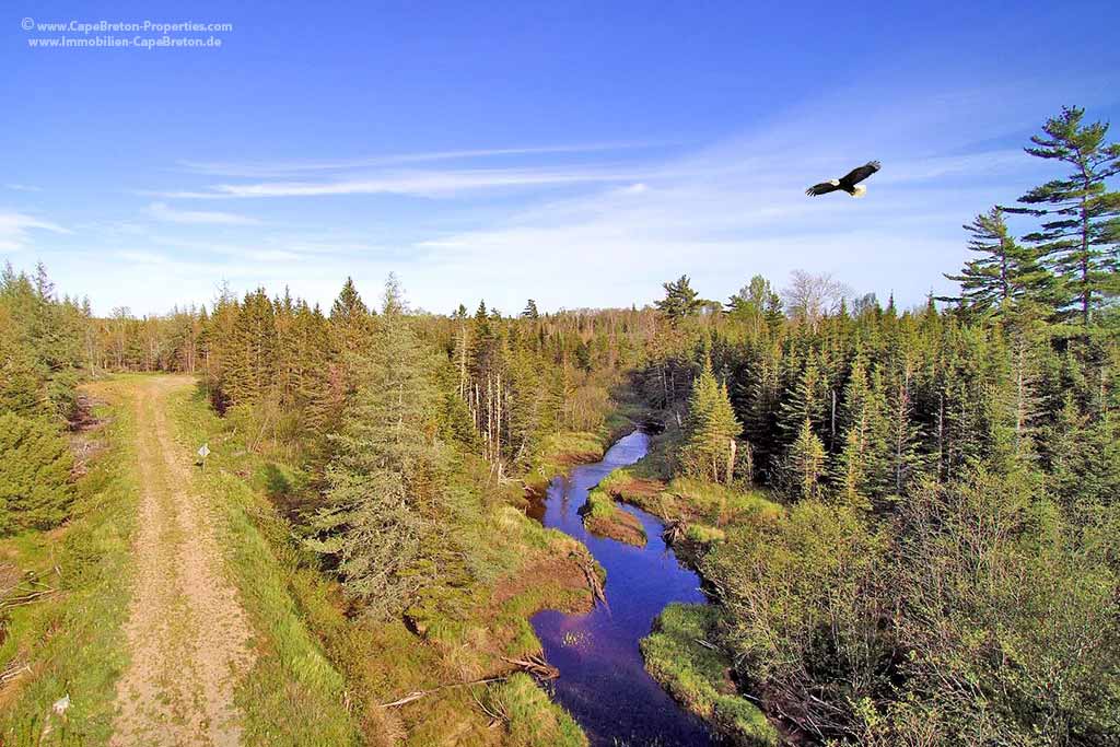 Overview Listings Real Estate For Sale Cape Breton Nova Scotia