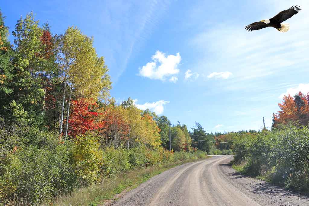 Overview listings real estate for sale Cape Breton Nova Scotia