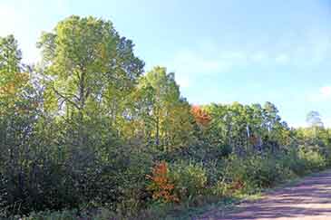 vacant land near Bras d’Or lake for sale on Cape Breton Island, Nova Scotia, Canada