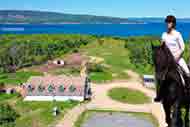 Black Rock Horse Stable - Pet Hotel – Farmhouse at Bras d’Or Lake for sale on Cape Breton Island, Nova Scotia, Canada