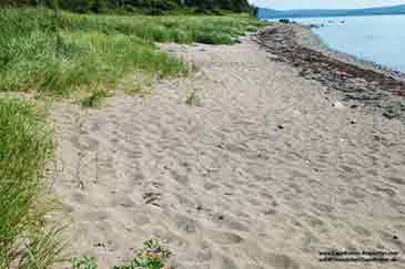 Grundstück zu verkaufen Atlantic Beach Farm auf Cape Breton Island