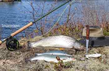 fishing at the Bras d'Or Lake on Cape Breton Island, Nova Scotia