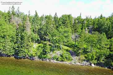 Sea Trout Estate - 20 acr Bras d'Or Lake property for sale on Cape Breton Island, Nova Scotia, Canada