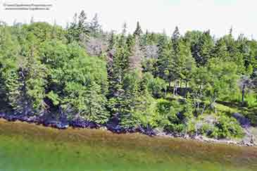 Sea Trout Estate - 20 acr property for sale on Cape Breton Island, Nova Scotia, Canada