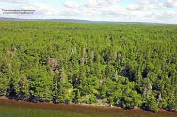 Sea Trout Estate - 20 acr property for sale on Cape Breton Island, Nova Scotia, Canada