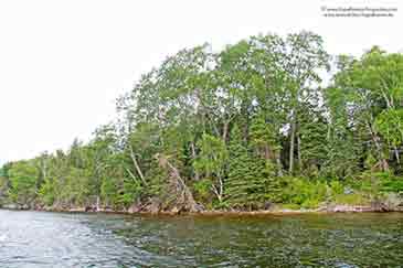 Sea Trout Estate - 20 acr Bras d'Or Lake property for sale on Cape Breton Island, Nova Scotia, Canada