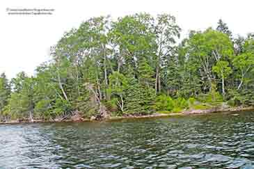 Sea Trout Estate - 20 acr property for sale on Cape Breton Island, Nova Scotia, Canada