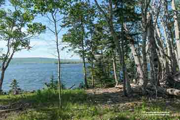 Sea Trout Estate - 20 acr property for sale on Cape Breton Island, Nova Scotia, Canada