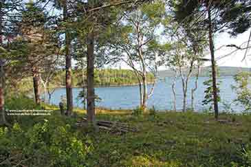 Sea Trout Estate - 20 acr Bras d'Or Lake property for sale on Cape Breton Island, Nova Scotia, Canada